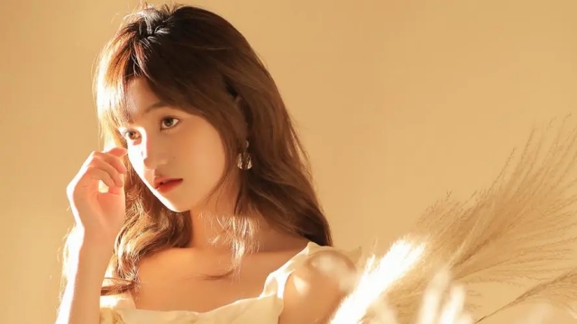 这个周末，漯河会展中心见！